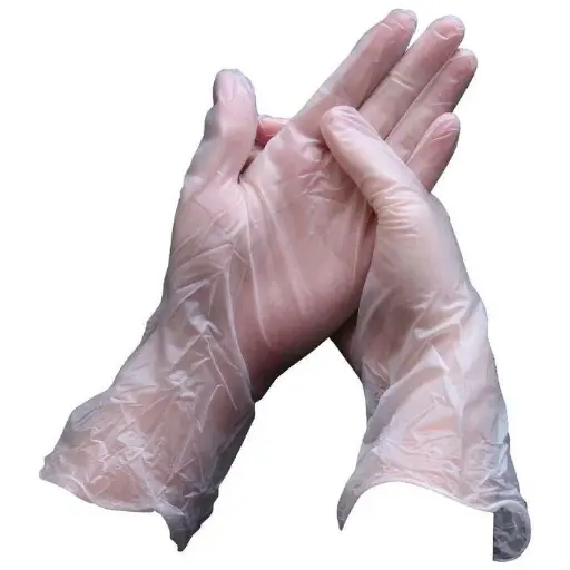 [SMSVFL] Large Vinyl Gloves Powder Free Box Of 1000